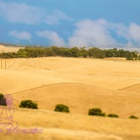 Портфолио REBECCA HANSEN